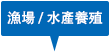 漁場 / 水產養殖